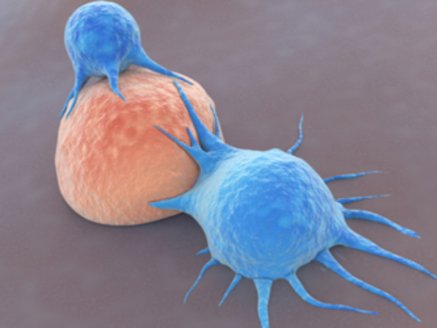 T-Cells Attacking Cancer Cell